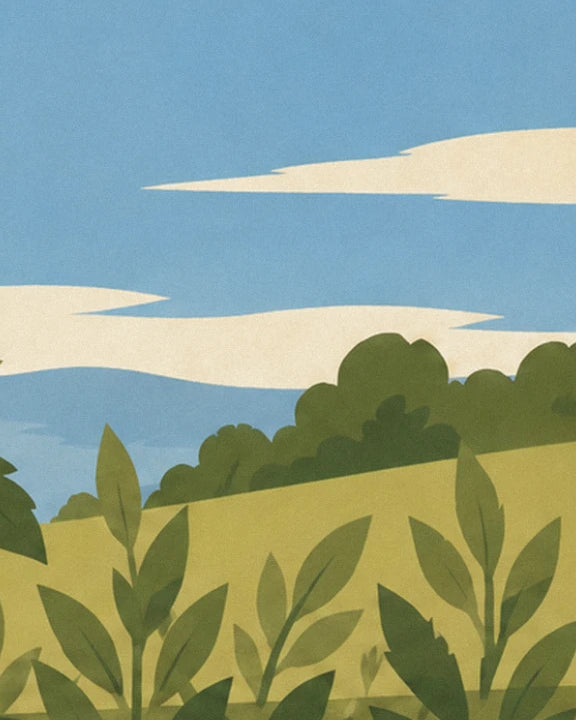 Les feuilles du plant devant une colline vert olive, sous un ciel bleu à nuages crème