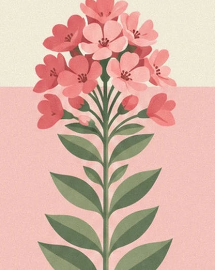A cluster of pink flowers at the top of a stem with green leaves, against a two-tone background