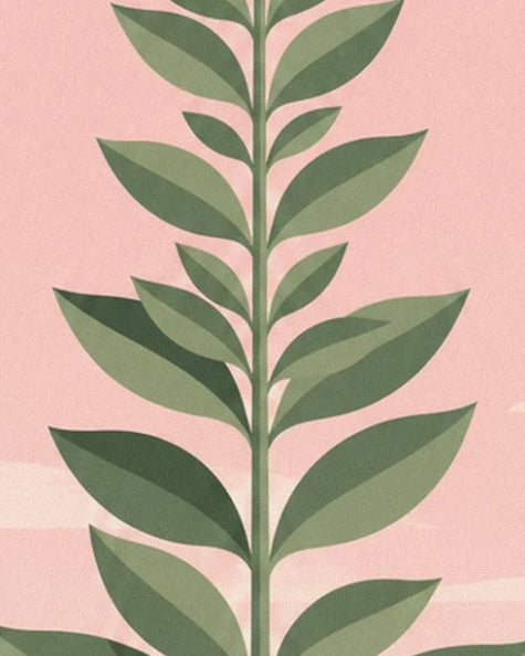 An upright stem with slender leaves in two shades of green against a pink background