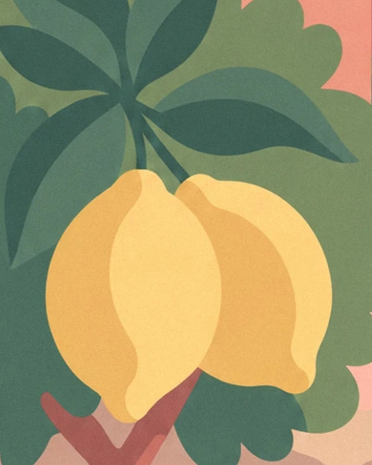 The 2 yellow lemons on their branch, surrounded by broad dark green leaves