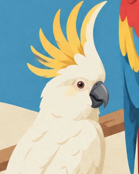 A white cockatoo with a raised yellow crest and a grey beak