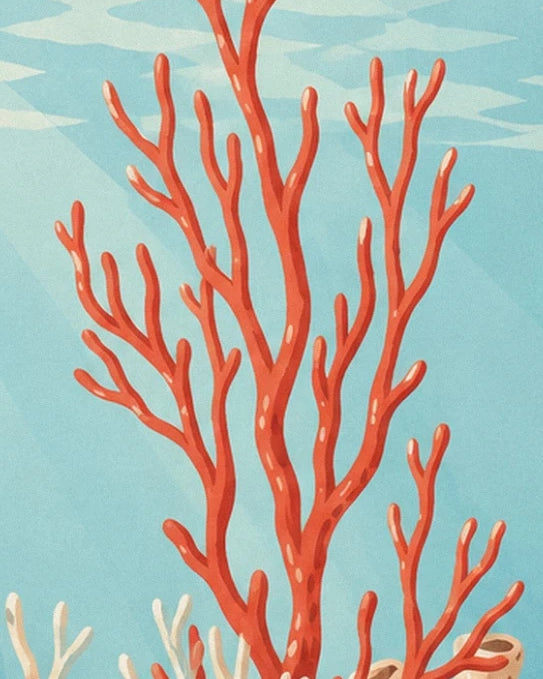 Les branches élancées d'un corail rouge orangé sur un fond bleu turquoise