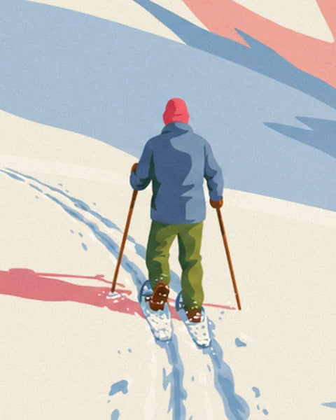 The hiker in a pink woolly hat and blue jacket, seen from behind with snowshoes and 2 poles