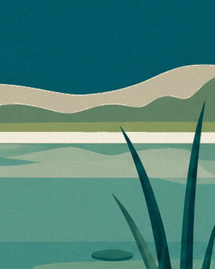 The dark reeds beside the pond, with beige and green hills beyond