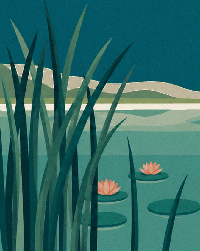 The dark green reeds in front of 2 peach-pink water lilies in bloom, on the lake's turquoise water