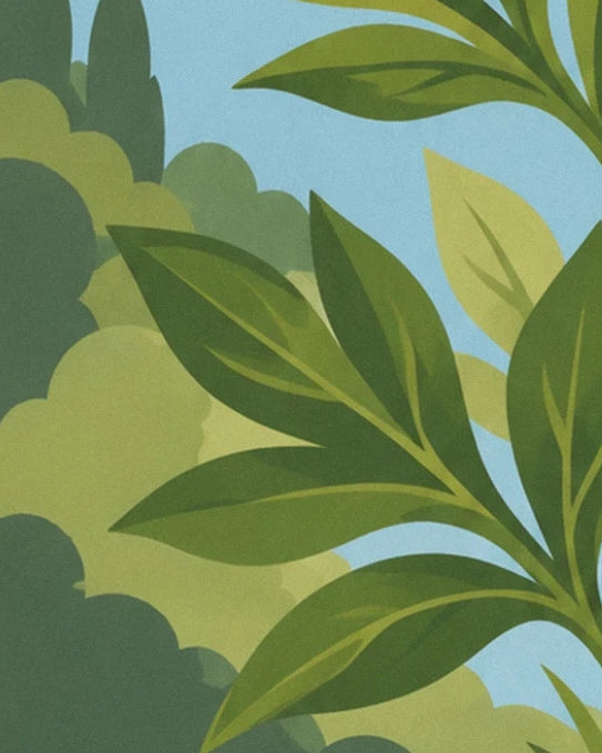 Des feuilles effilées vert foncé aux nervures olive sur un fond bleu ciel