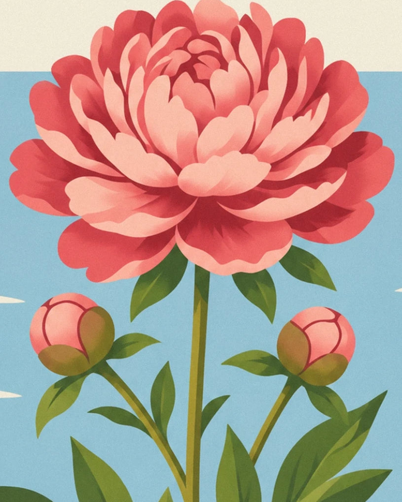 Une pivoine rose épanouie et ses 2 boutons sur des tiges au feuillage vert