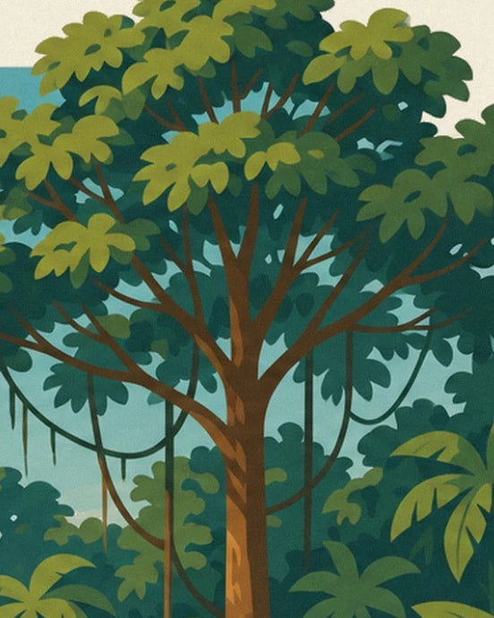 A tree with a brown trunk and long vines among the foliage of the Amazon rainforest
