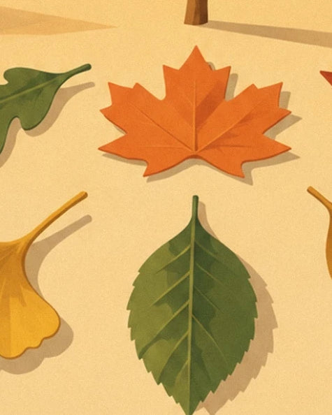 An orange maple leaf and a green serrated leaf against a golden yellow background