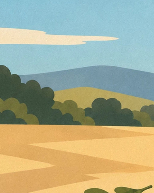 Blue-tinged hills behind green groves and ochre ground with long shadows