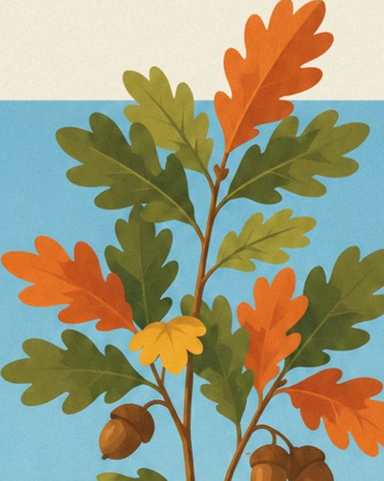 An oak branch with green and orange leaves and brown acorns