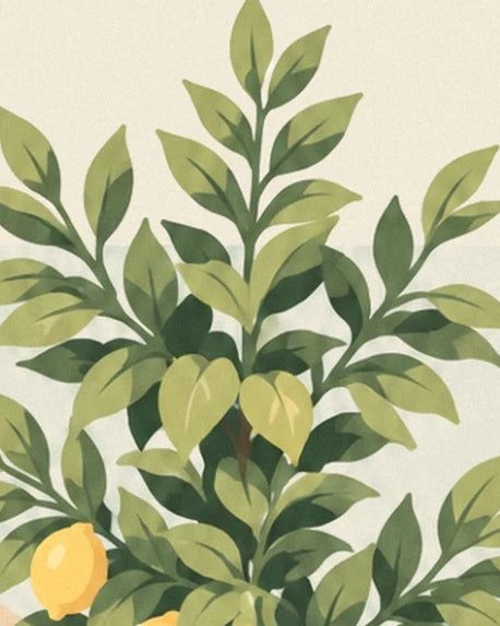 The lemon tree’s slender branches, green leaves and a yellow lemon against a cream background