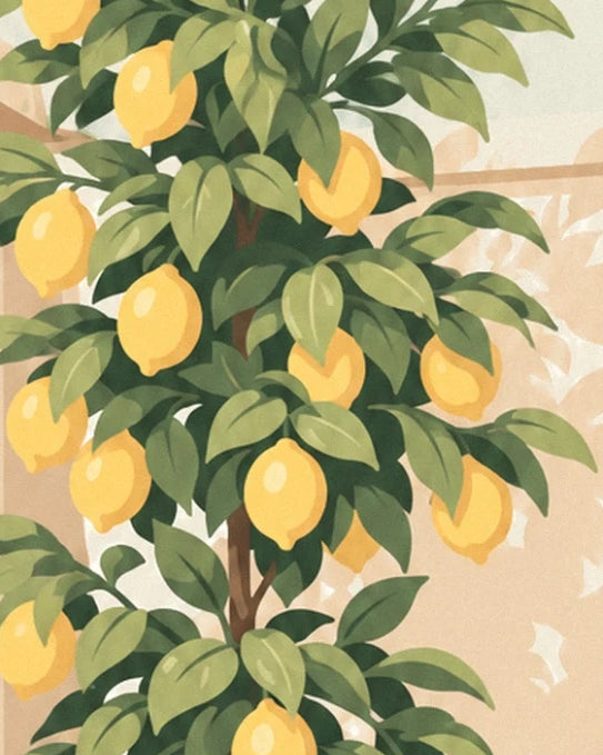 The yellow lemons among the lemon tree’s olive green leaves and brown branches