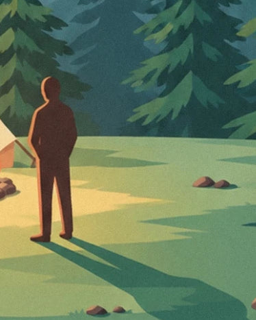 A figure standing in the clearing with a long shadow facing the fir trees
