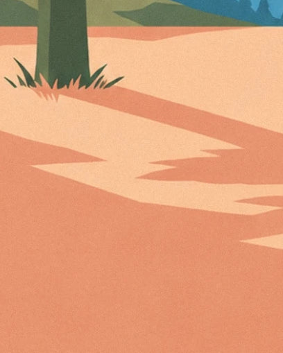 The base of a pine tree fringed with grass and the long shadows on the orange ground