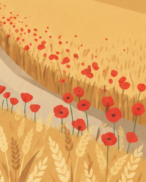 Les coquelicots rouges le long du chemin, au milieu des épis de blé dorés