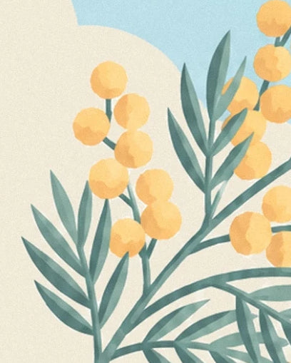 The yellow flowers and green foliage of the mimosa against a cream and blue background