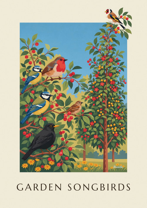 Affiche planche naturaliste des oiseaux chanteurs du jardin : l'affiche entière