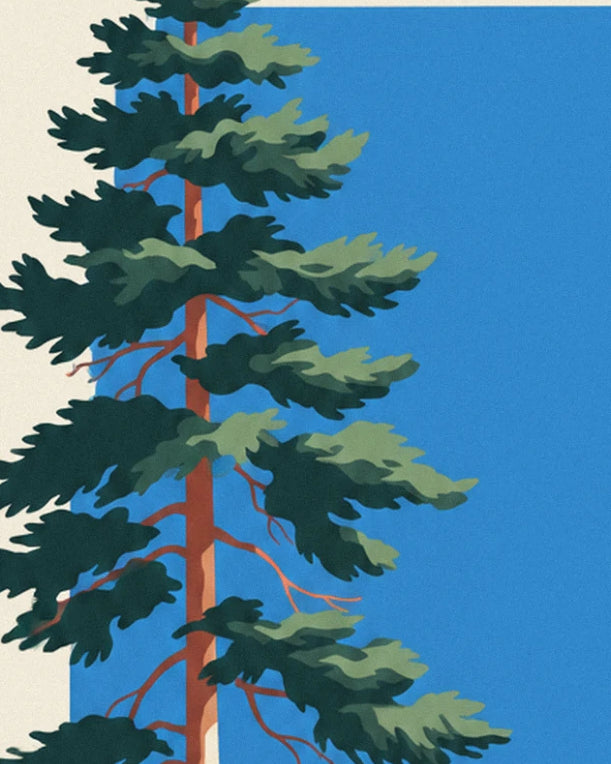 A tall pine with dark green needles and a russet trunk, standing against the blue sky