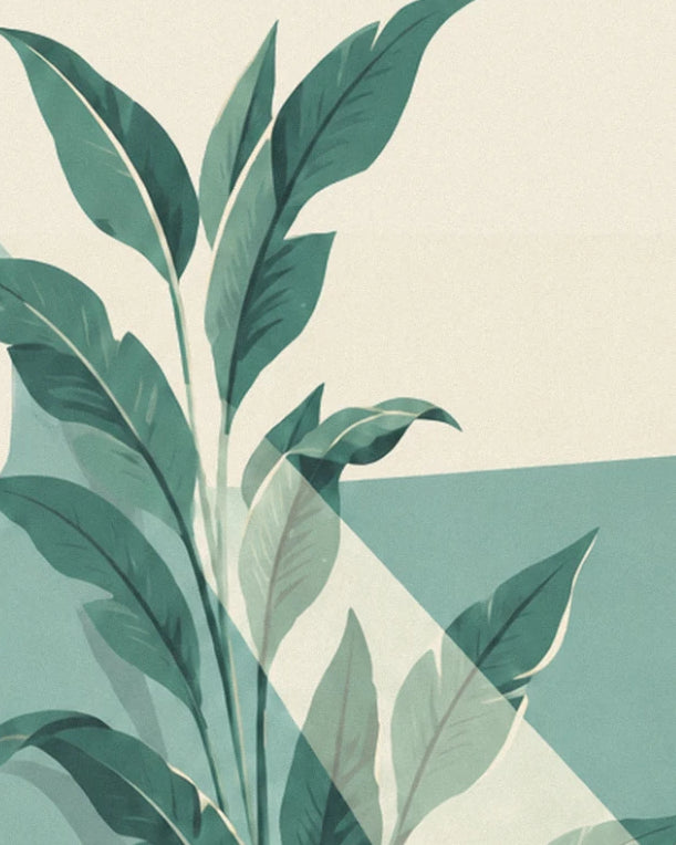 Les grandes feuilles vert profond d'une plante, éclairées par un rayon de lumière