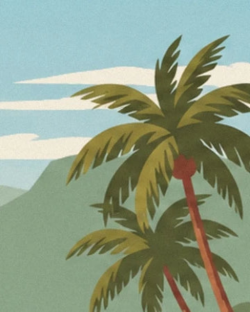 The palm trees with olive-green leaves in front of the mountains and blue sky of Oahu