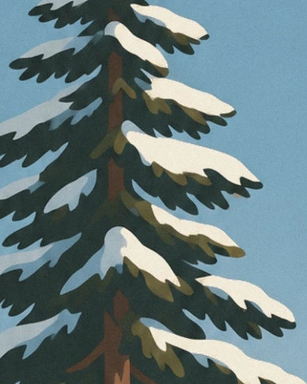 Die dunkelgrünen Tannenzweige, schwer vom Schnee, vor blauem Hintergrund