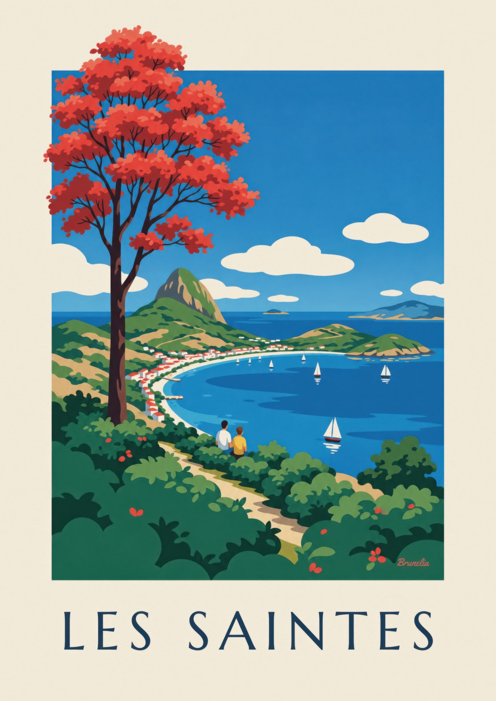 Affiche Guadeloupe, baie des Saintes à Terre-de-Haut: detail in close-up