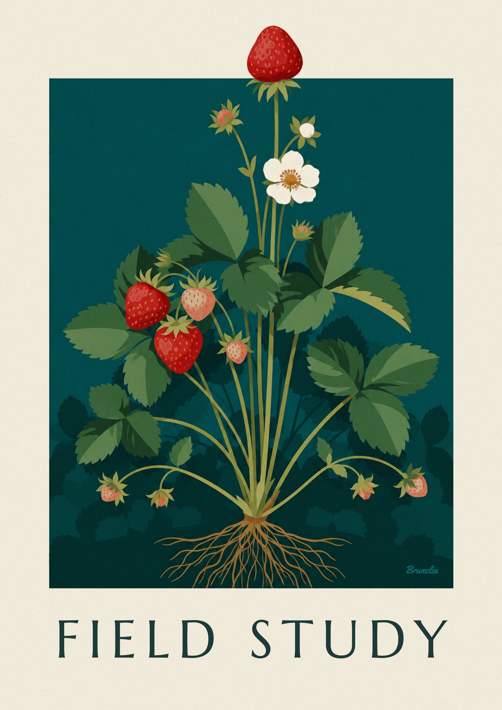 The 2 red strawberries and pale pink strawberry, among the serrated leaves