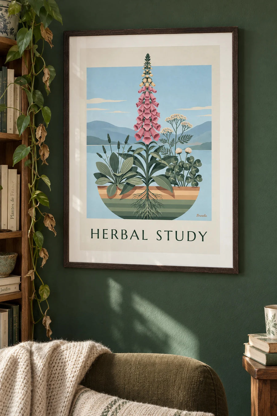 Affiche planche scientifique de plantes herbacées et digitale : encadrée au mur