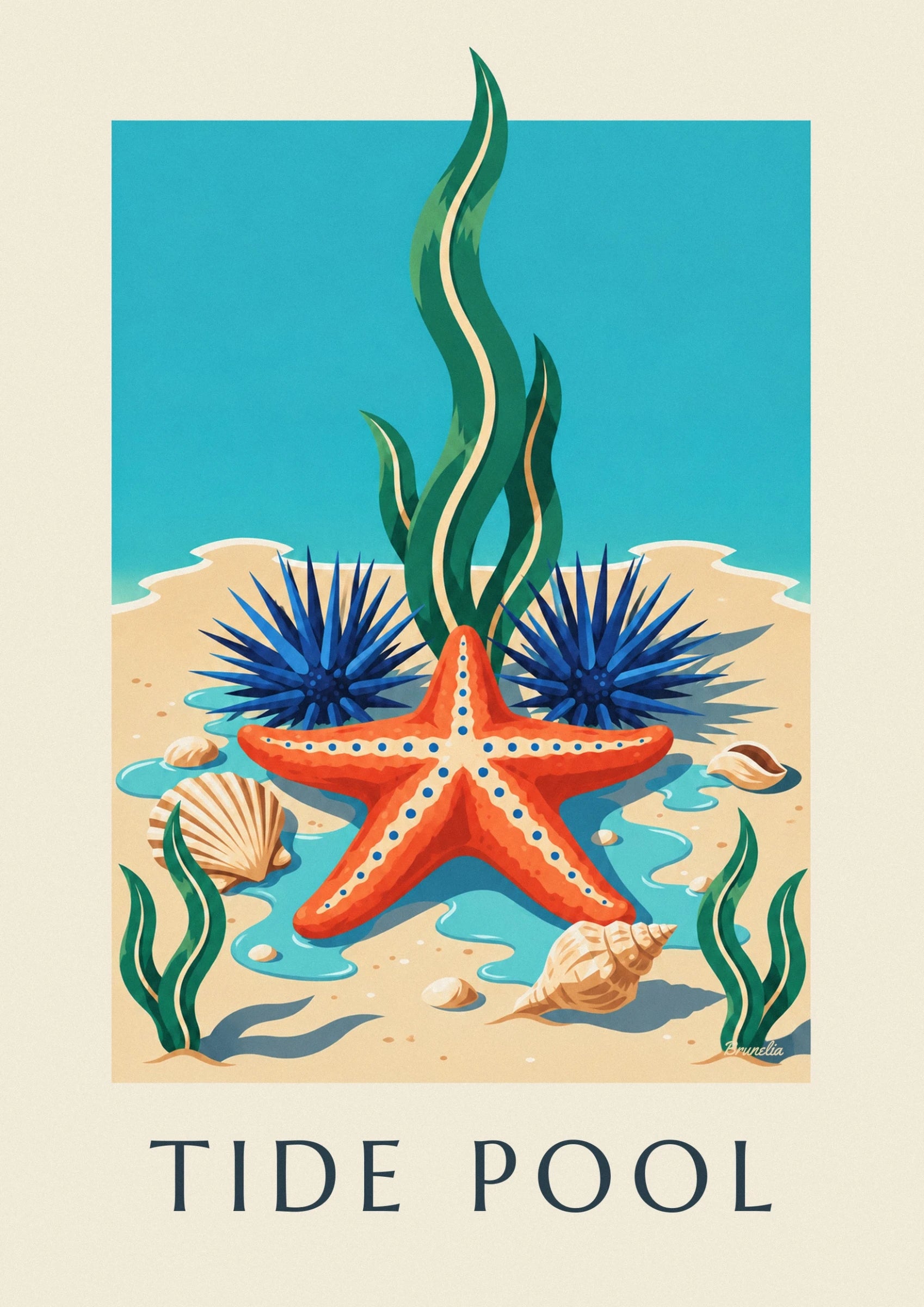 Affiche étoile de mer et faune marine de la côte du Cap : détail en gros plan