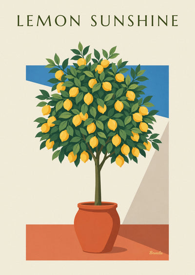 Poster Zitronenbäumchen im Topf auf einer sonnigen Terrasse in Italien: das ganze Poster